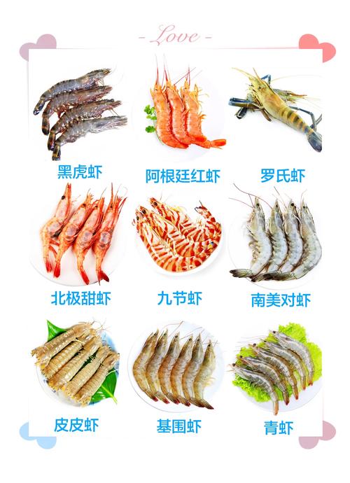 平时吃的虾是什么虾