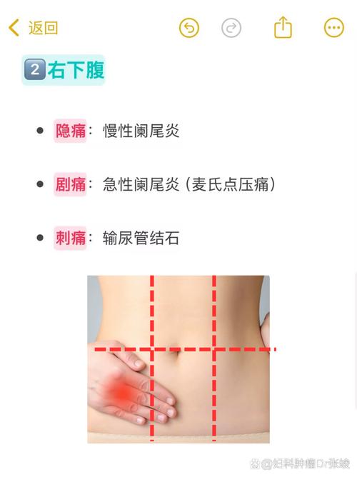 肚子抽痛是什么原因