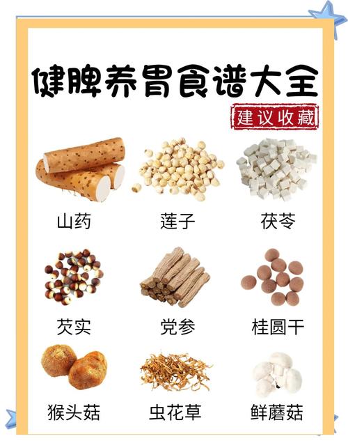 什么东西暖胃养胃