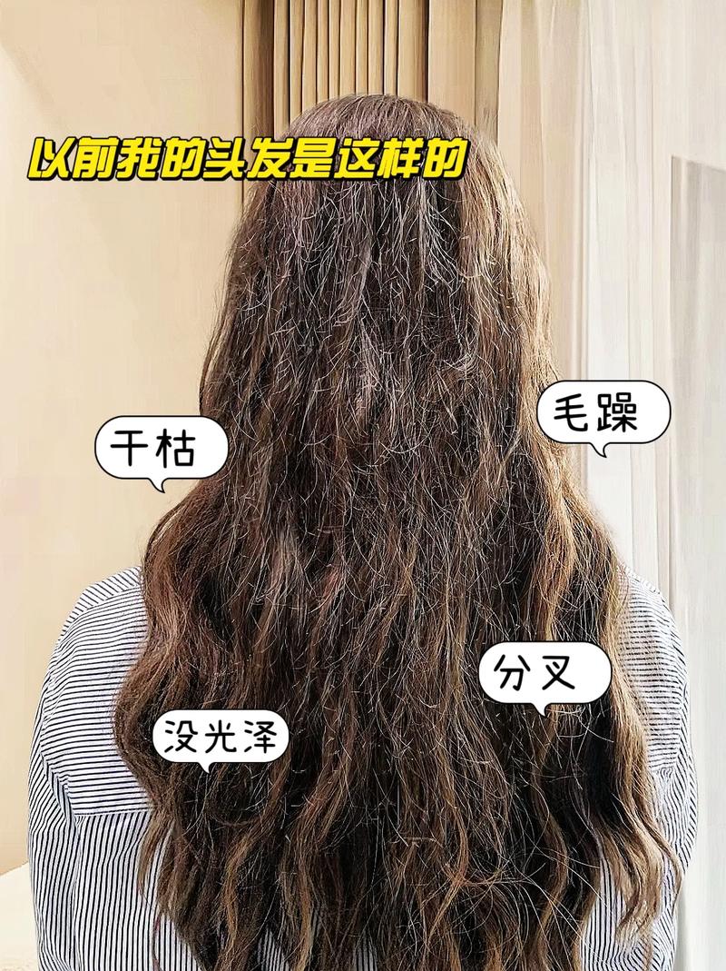 头发为什么干枯毛躁