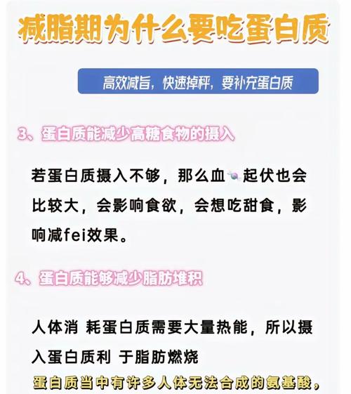 高蛋白为什么有利于减肥