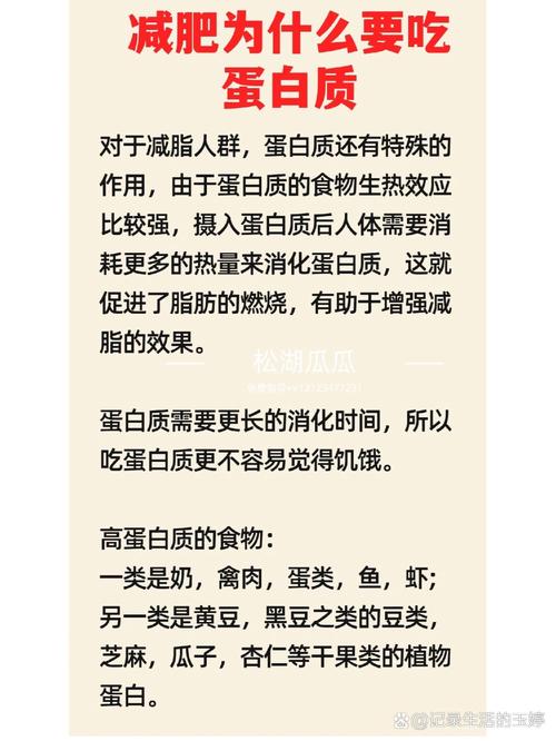 高蛋白为什么有利于减肥