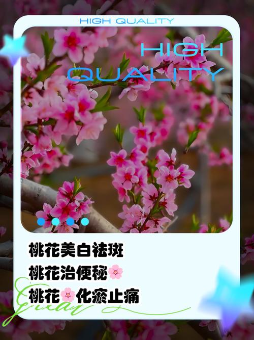 吃桃花有什么好处