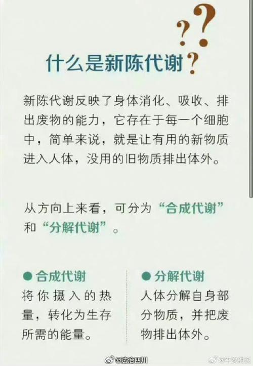 什么能加快新陈代谢