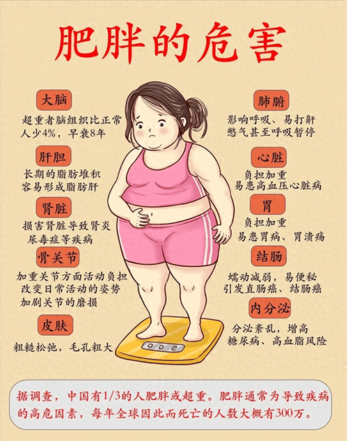 什么样体质的人减肥最快
