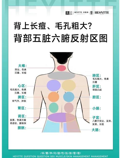 后背长疙瘩是什么原因