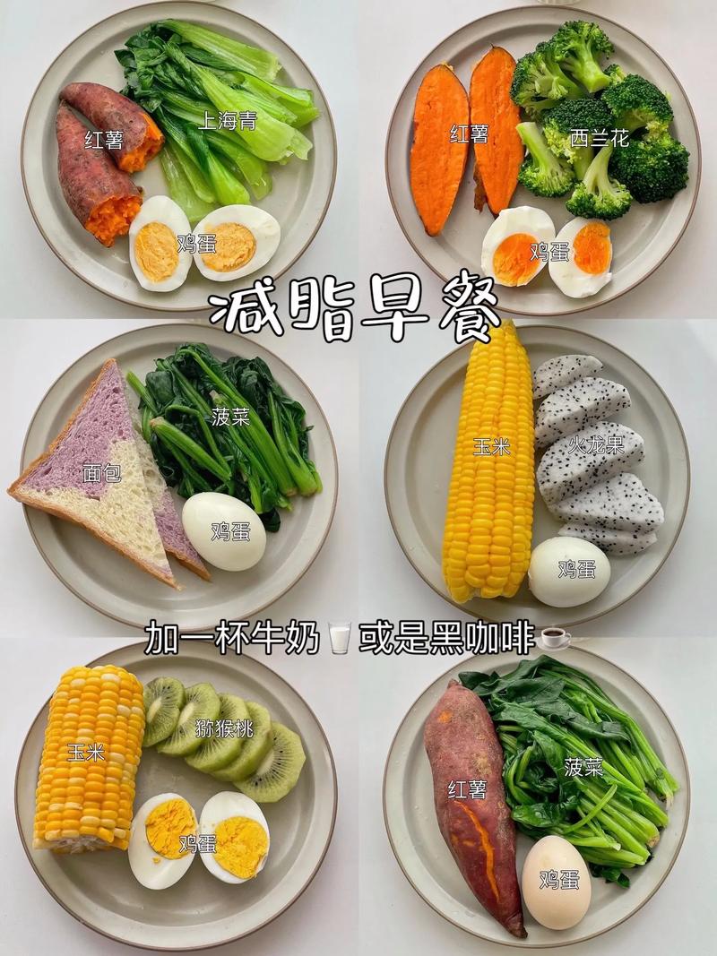 早上吃什么减肥餐