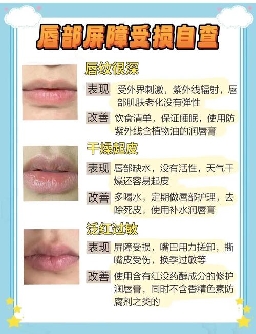 唇膜有什么作用