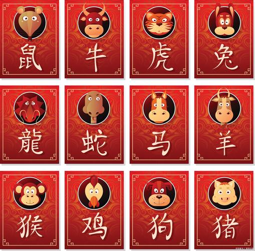 什么生肖是女肖