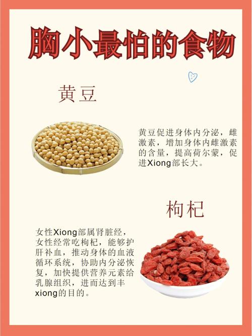 贫乳吃什么