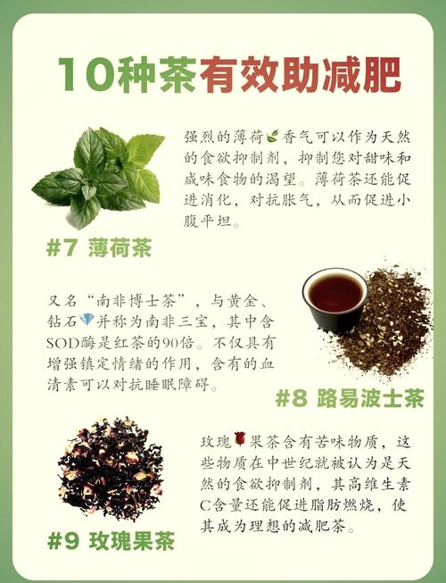 有什么东西泡茶喝减肥吗