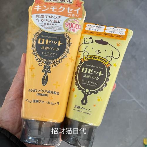 rosette粘土洗面奶怎么样