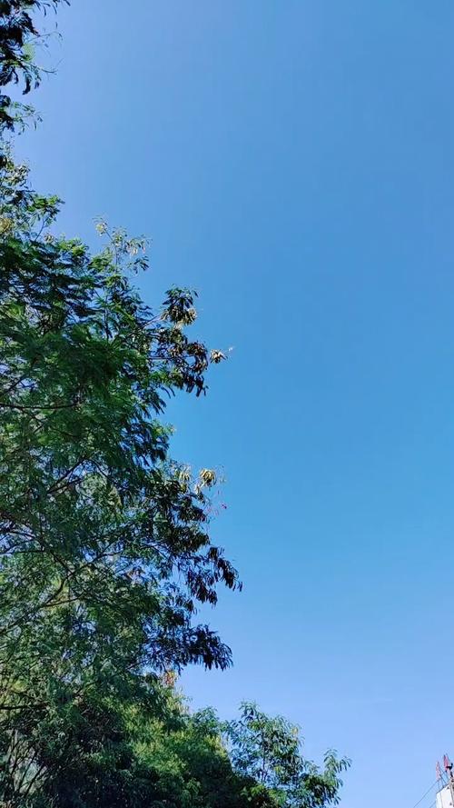 秋天什么是蓝色的