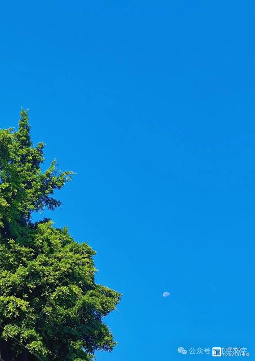秋天什么是蓝色的