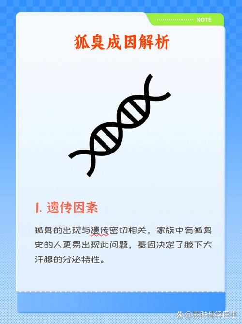 腋臭是为什么