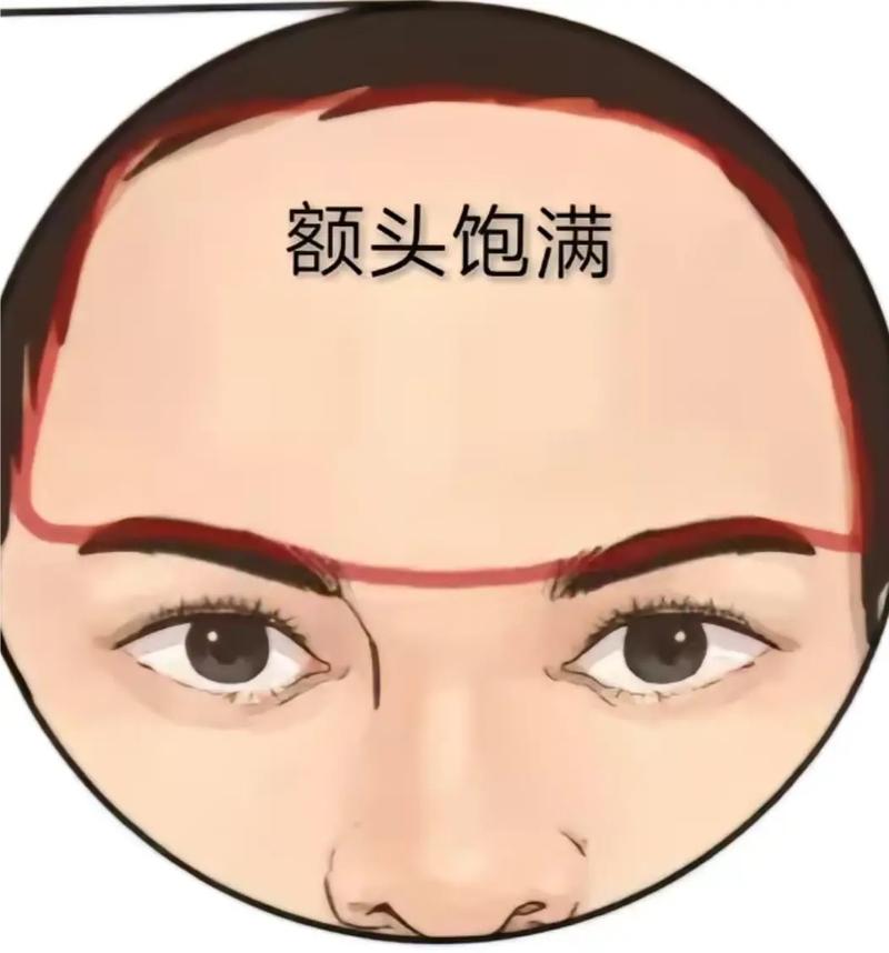 额头又叫什么