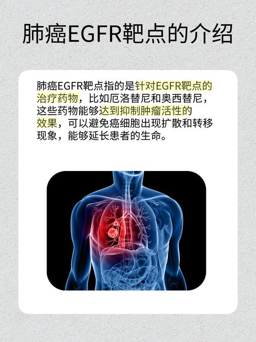 什么是egf