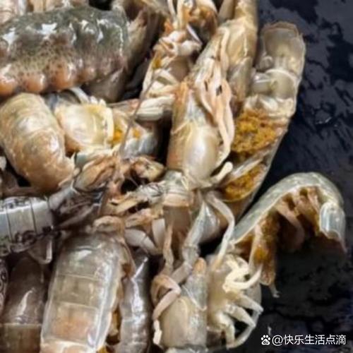 鲜活的什么