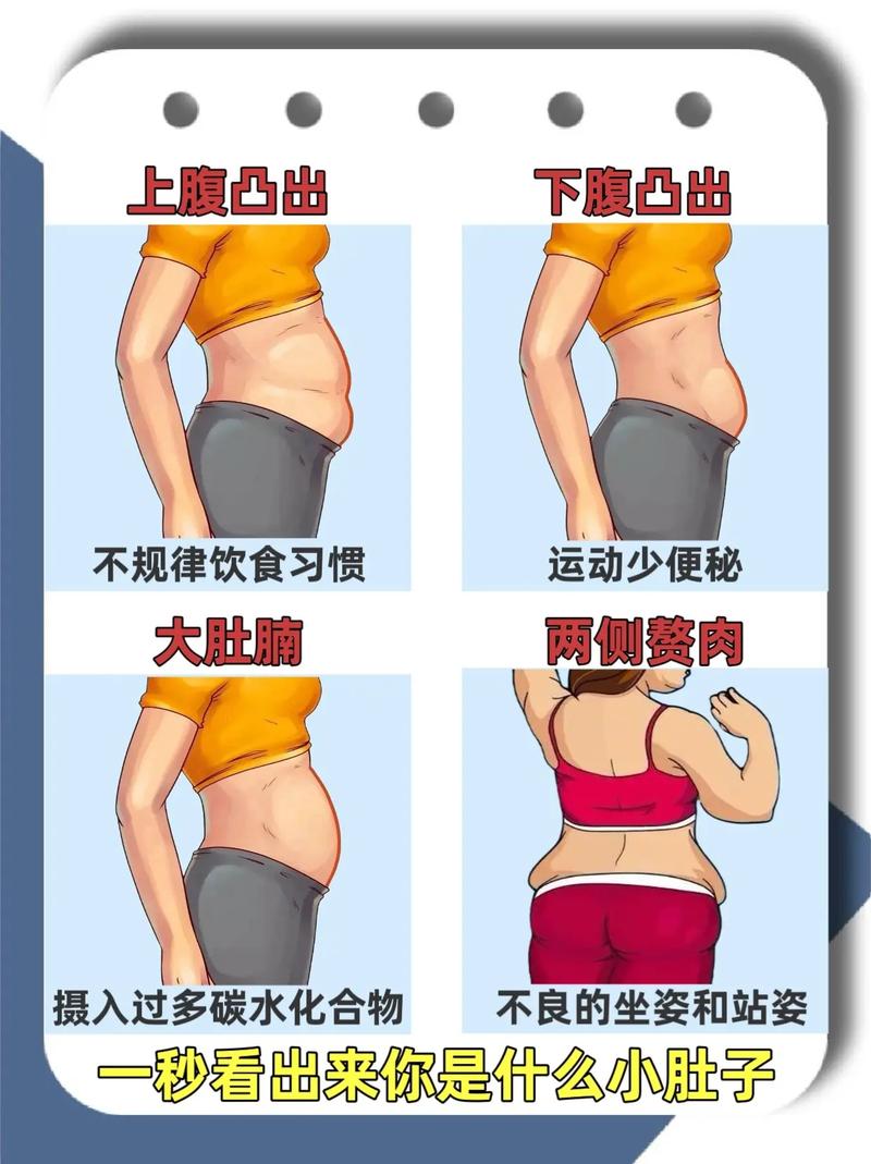 小肚子胖是什么原因