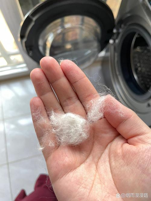 羊毛衫为什么掉毛