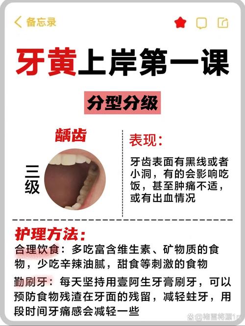 牙根黄是什么原因