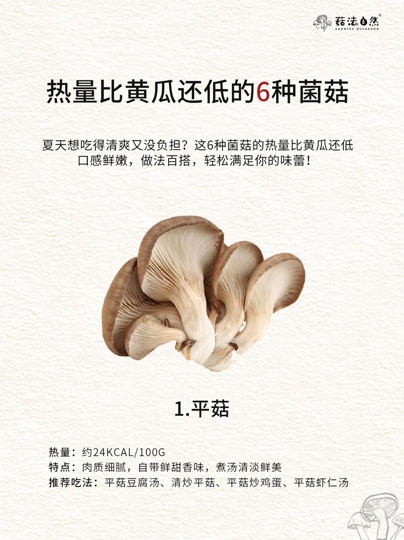什么菌类减肥
