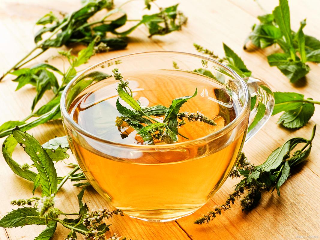 什么茶最可以减肥效果