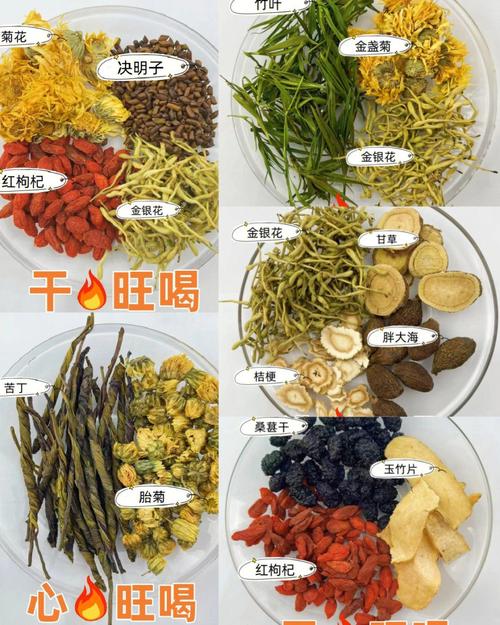 泡什么茶可以去火