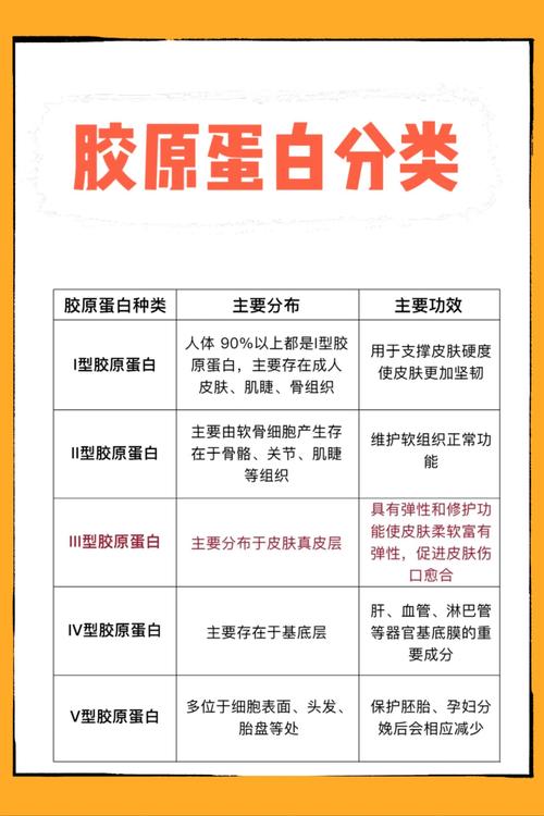 什么可以补充胶原蛋白
