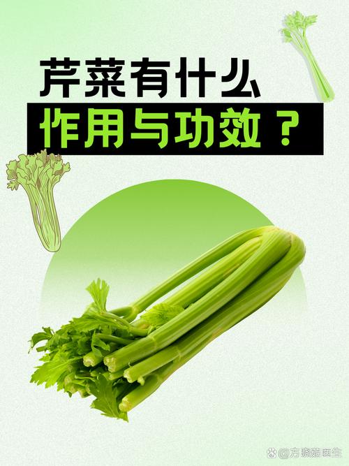 芹菜和什么一起减肥吗