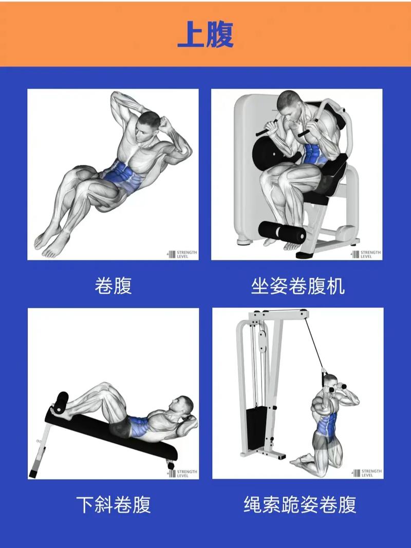什么运动能练腹肌