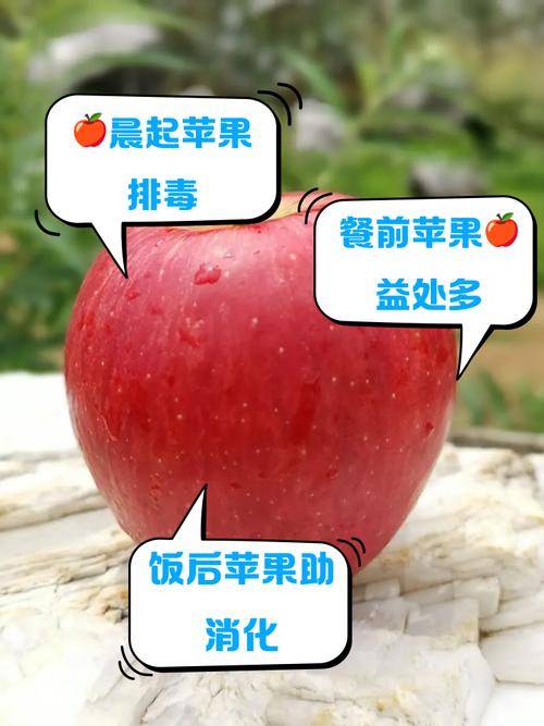 苹果和什么减肥效果好
