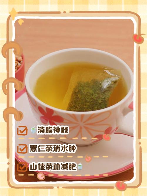 脾胃不好喝什么茶减肥