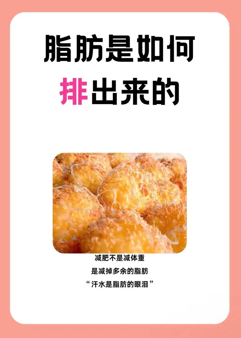 吃什么能分解脂肪