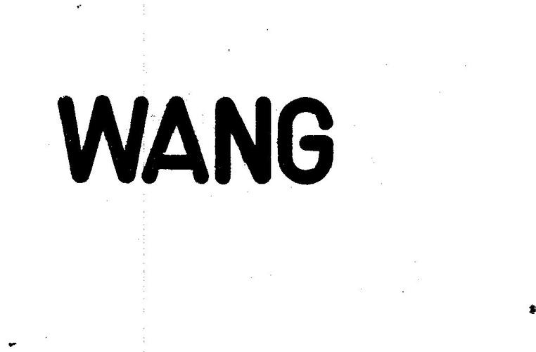 wang是什么品牌