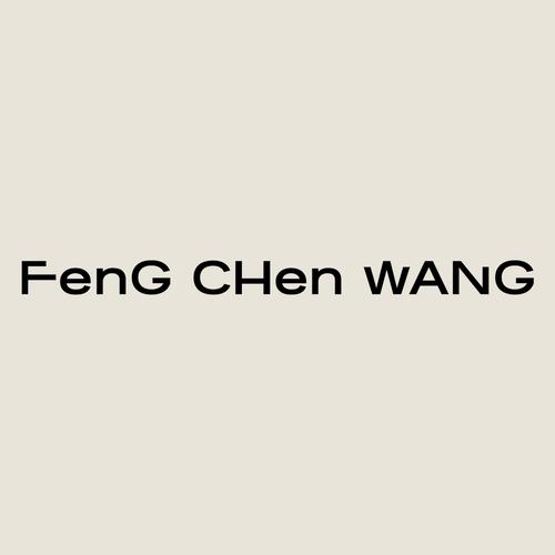 wang是什么品牌