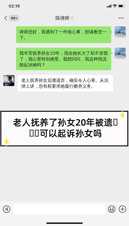 独子离世 老人看孙女遭拒起诉儿媳