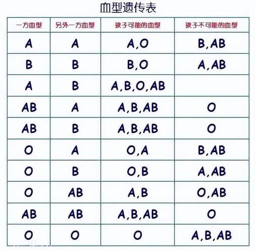 什么样的血型好