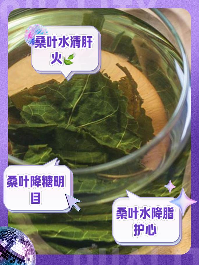 什么桑叶减肥吗
