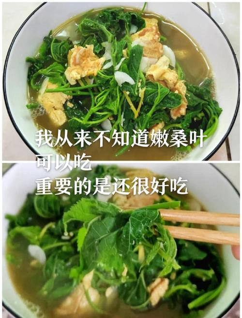 什么桑叶减肥法