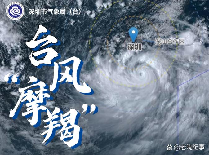 超强台风来势凶猛 深圳砍树预防