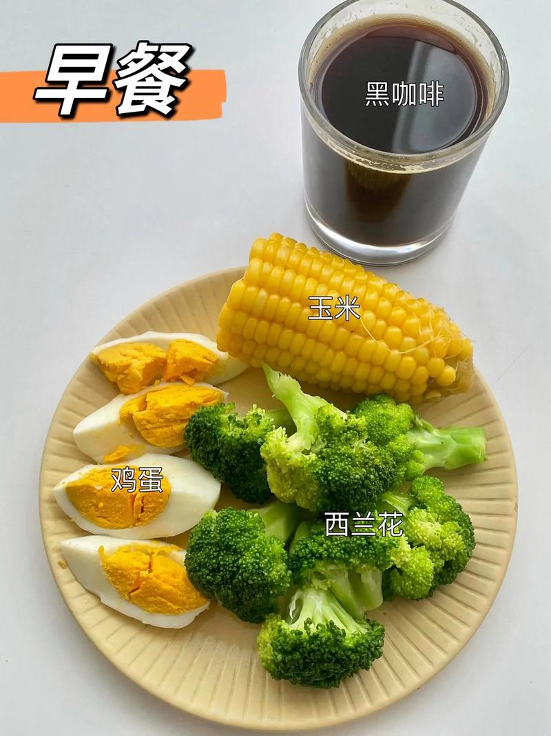 减肥早上吃些什么