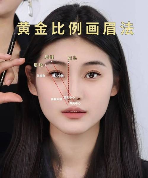 国字脸适合什么眉毛