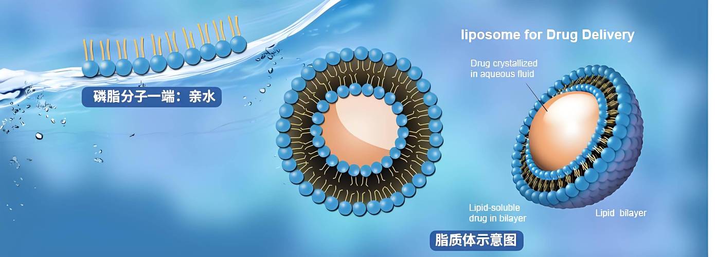 纳米脂肪是什么
