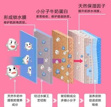 q10牛奶洗面奶怎么用