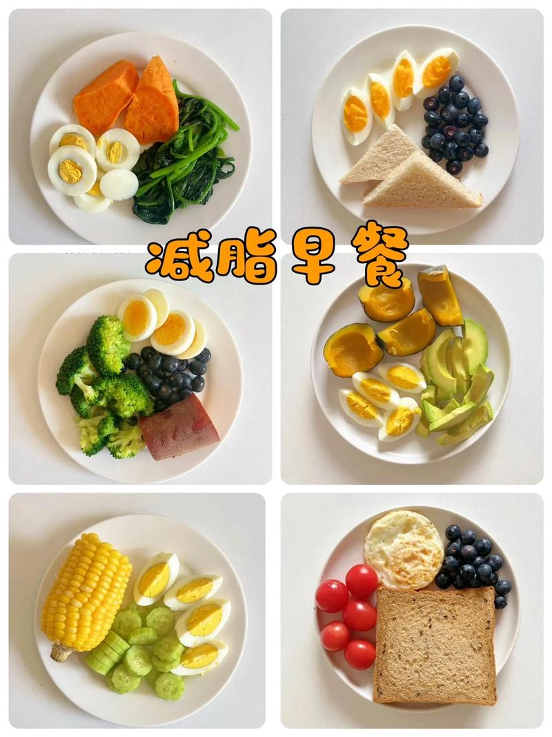 减肥晚上饿了吃什么好