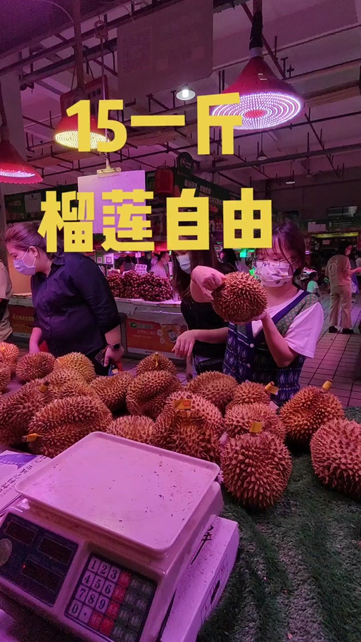 榴莲降至15元一斤