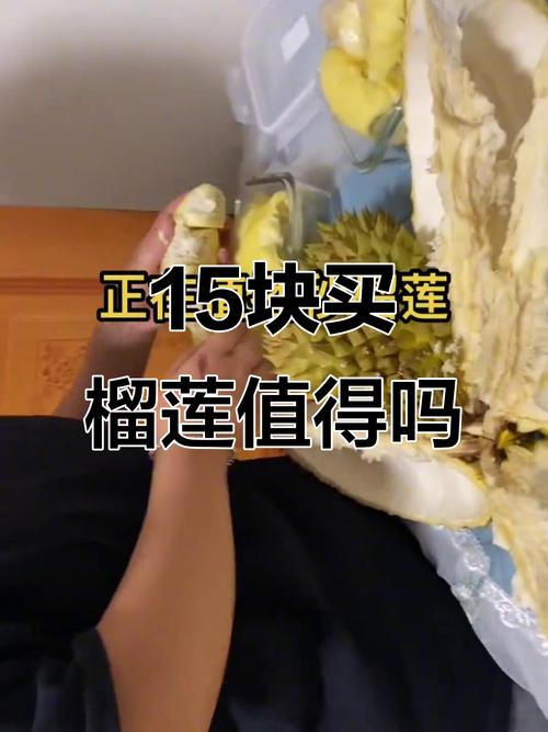 榴莲降至15元一斤