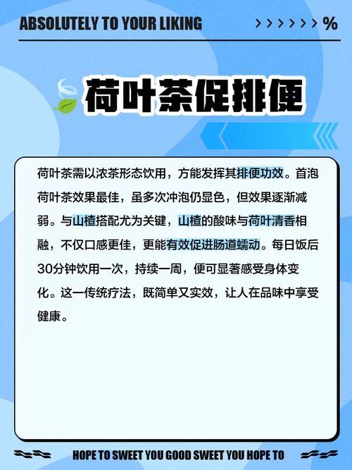 荷叶什么时候喝减肥效果最好
