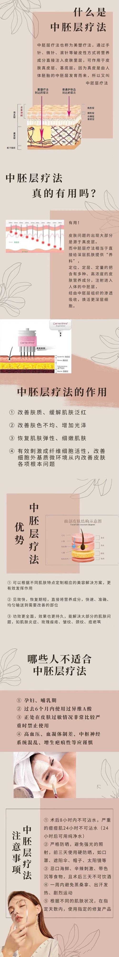 什么是胚层